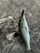 A fish is lying on a textured, rough concrete surface with a fishing lure hooked in its mouth. The fish has a shiny, slick body with scales that reflect light, and its fins are visible. The concrete has cracks and a weathered appearance.