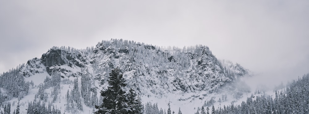 a mountain covered in snow with trees on the side