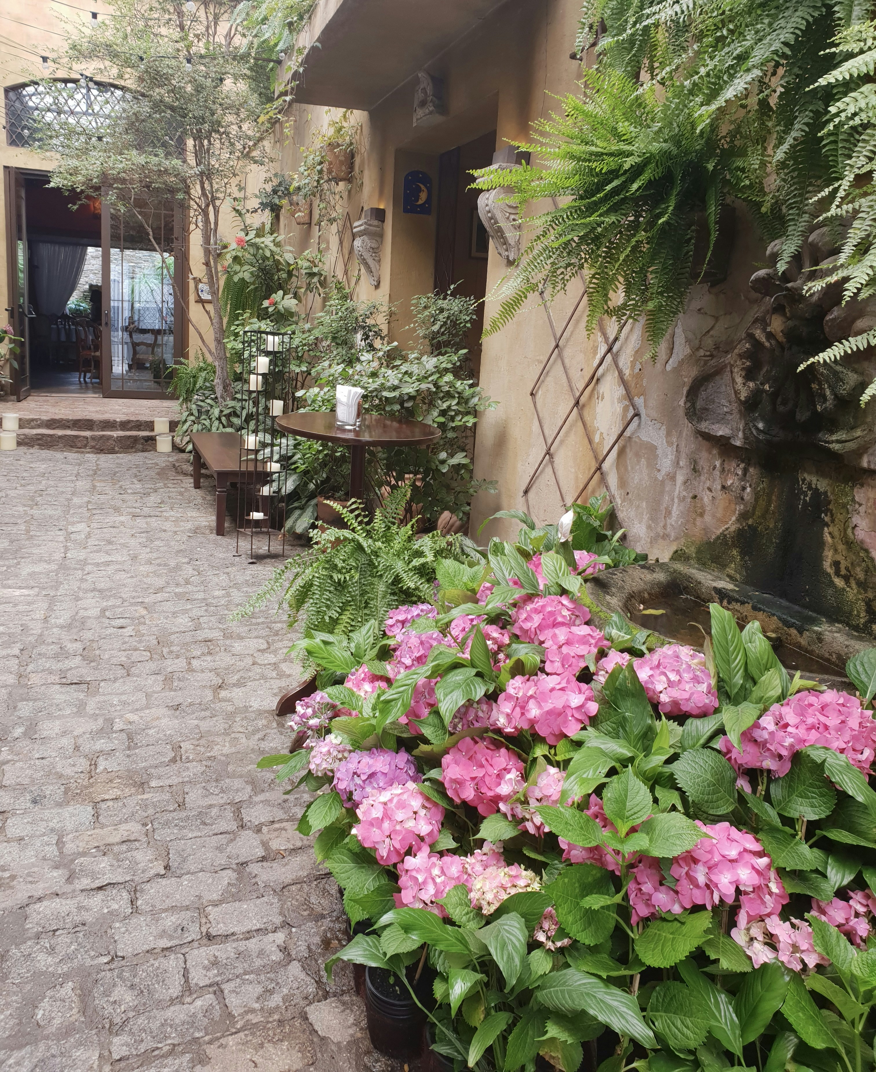 Photo by tonypanthere