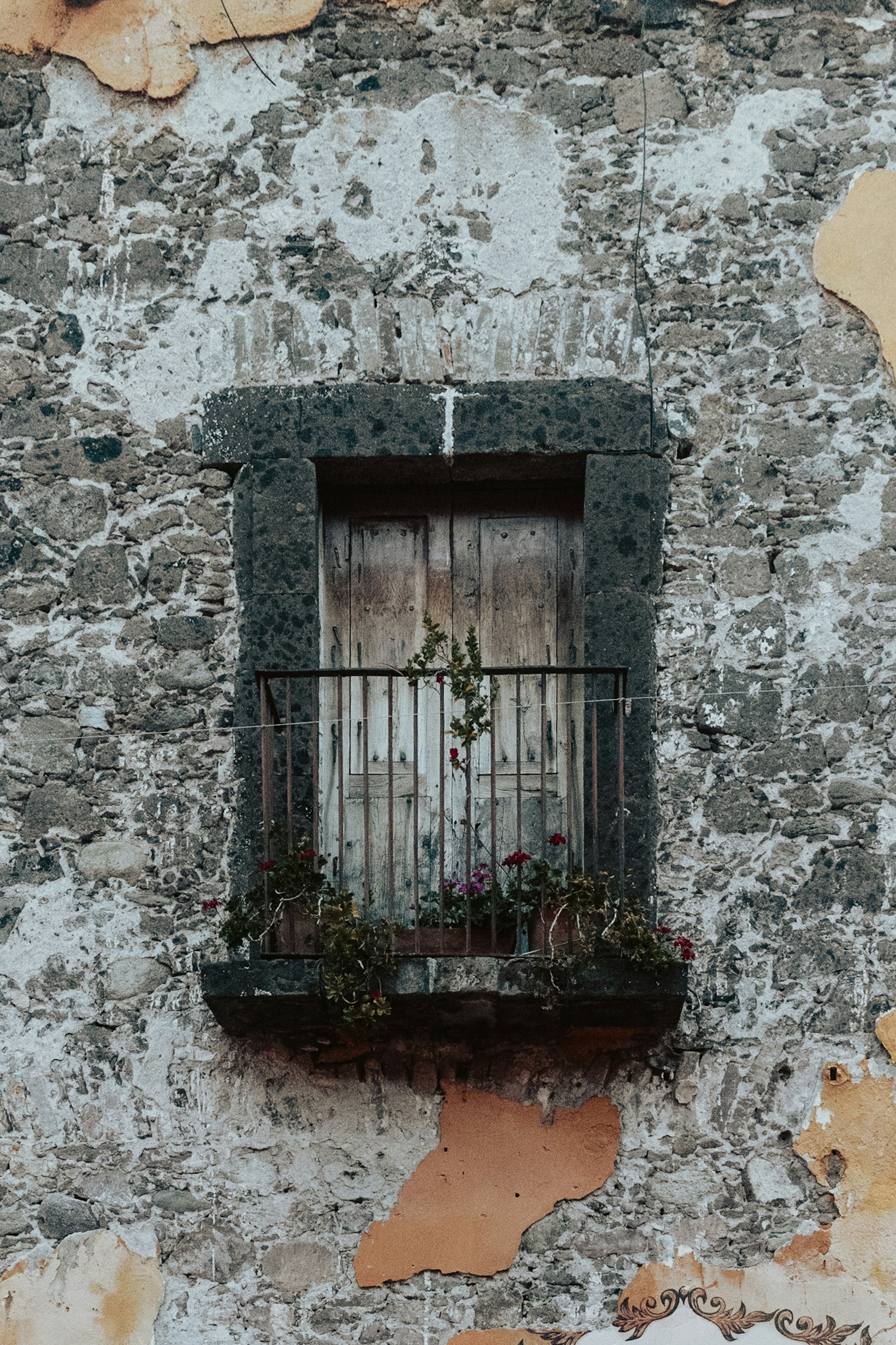 a building with a window and a planter in the window