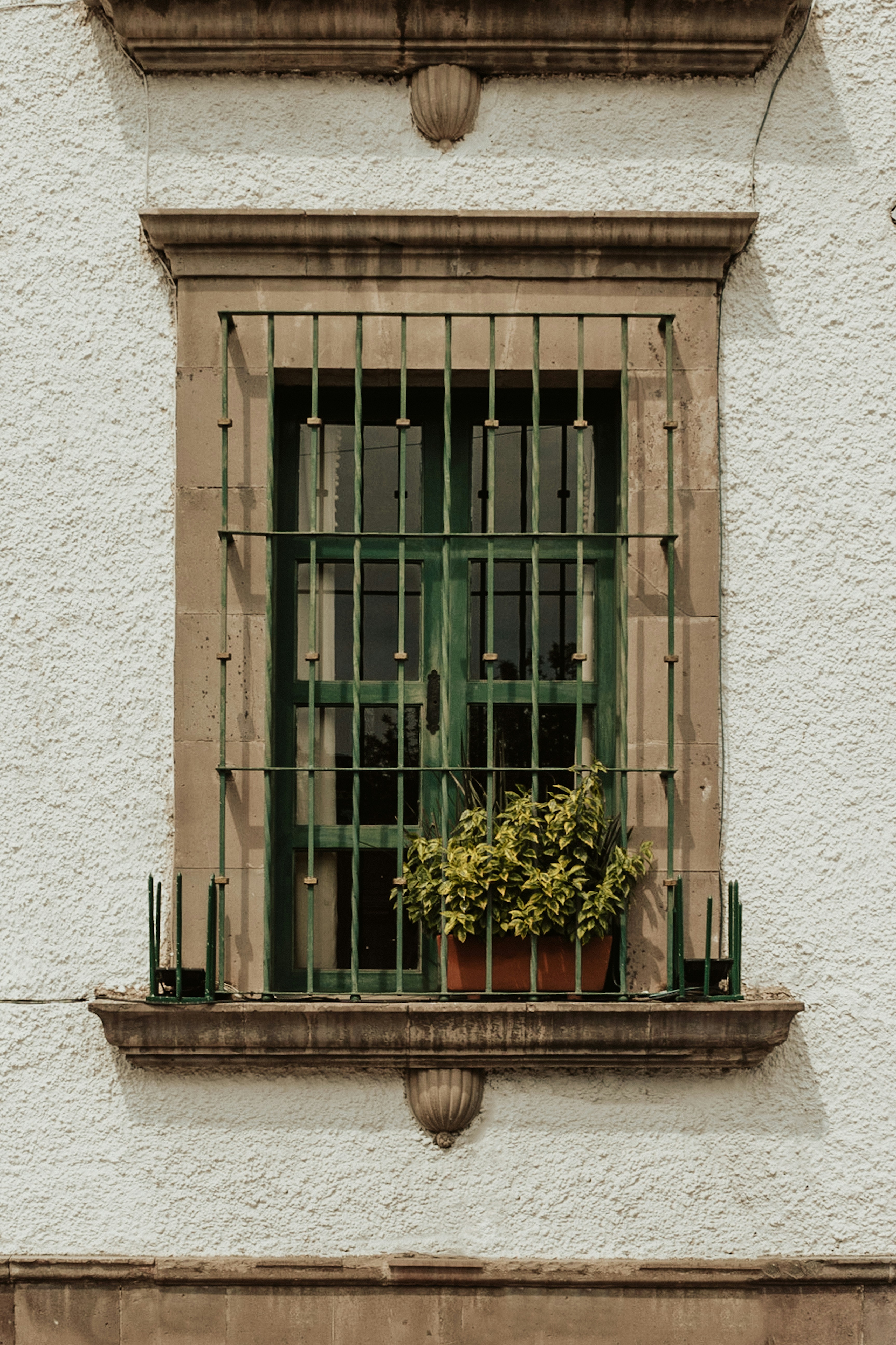 a window with bars and a potted plant