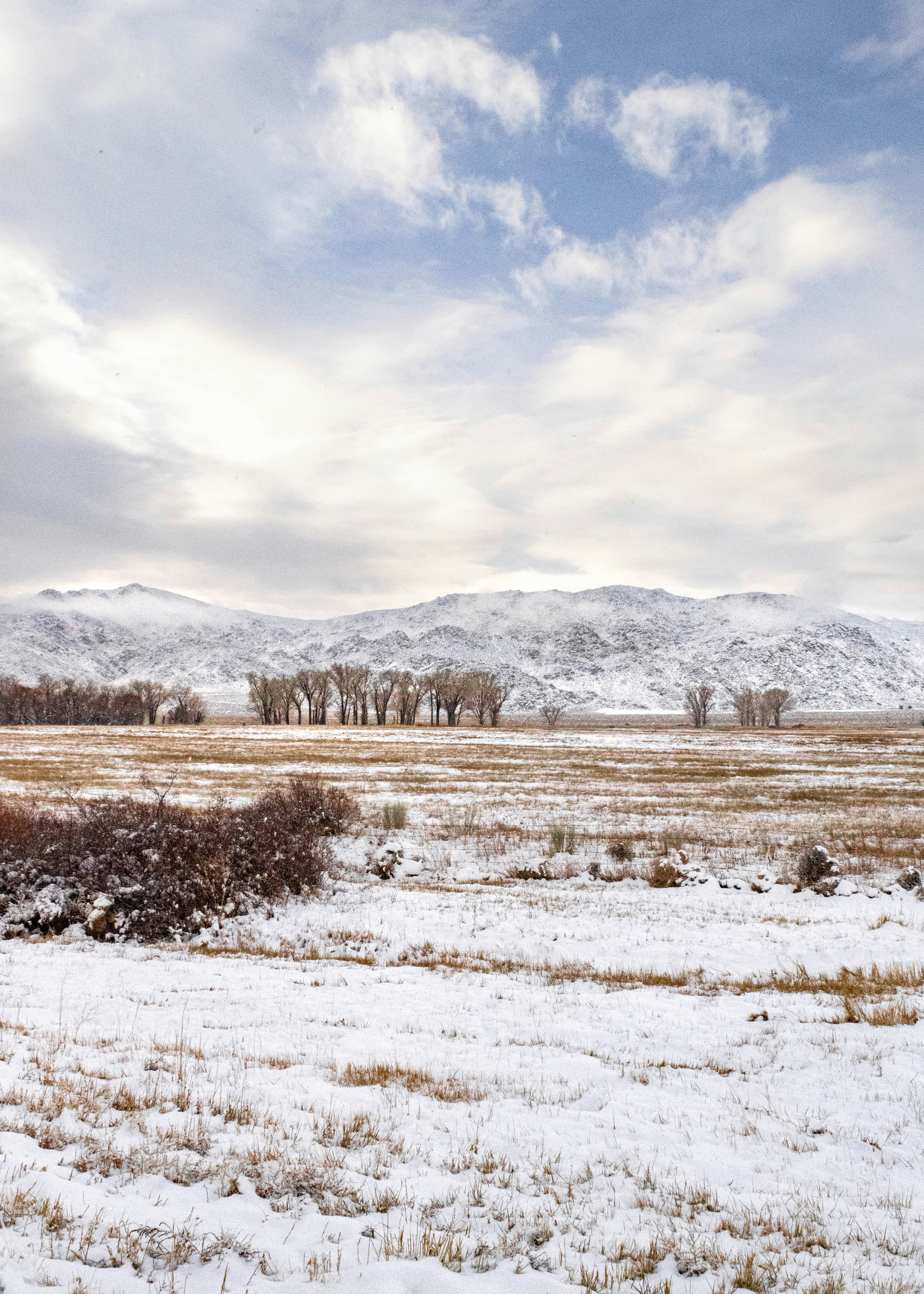 Photo by goldencoastgrams