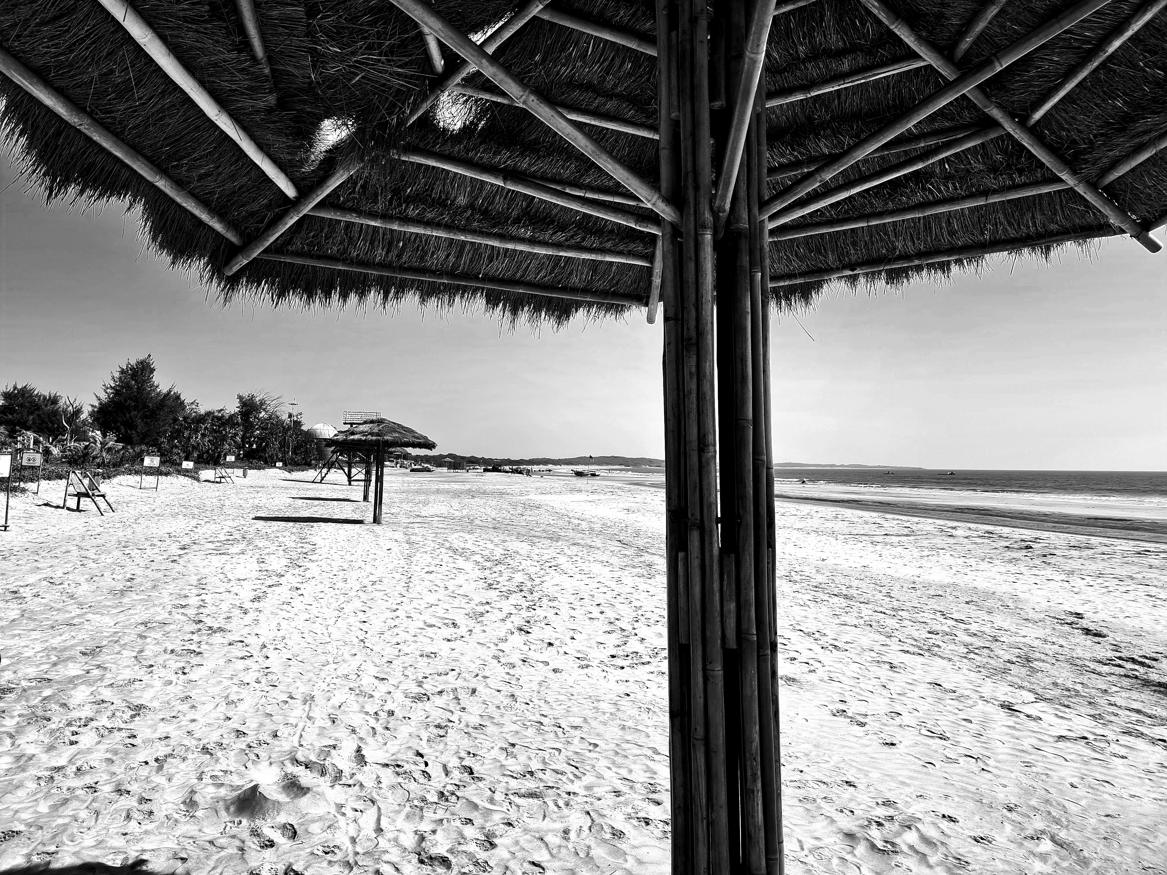 Una foto in bianco e nero di una spiaggia