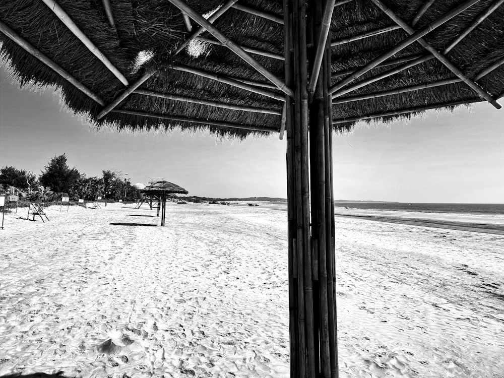 a black and white photo of a beach