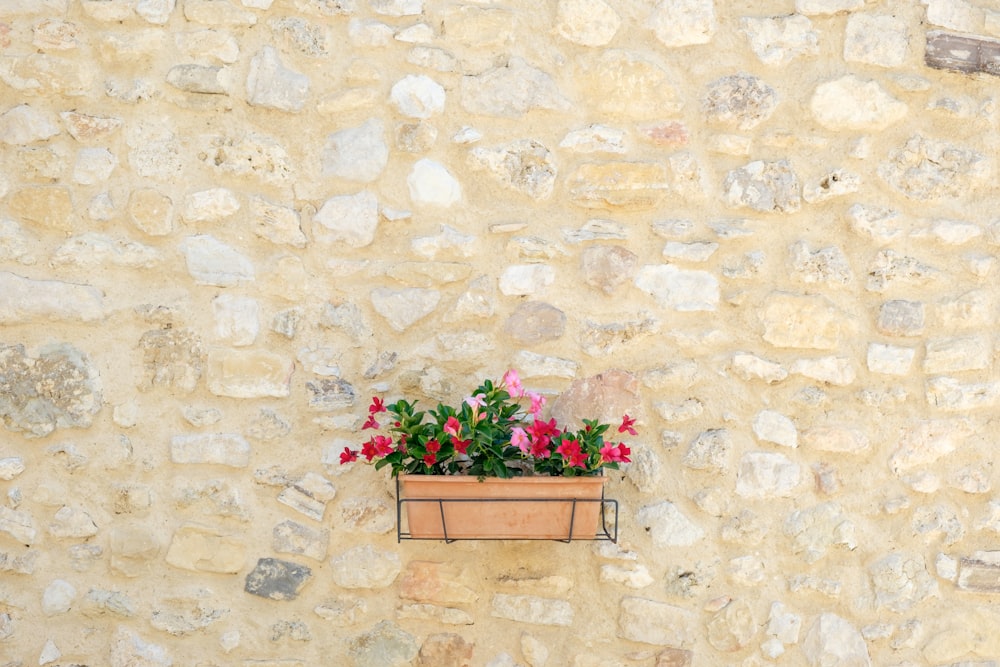 a window box with flowers in it on a stone wall