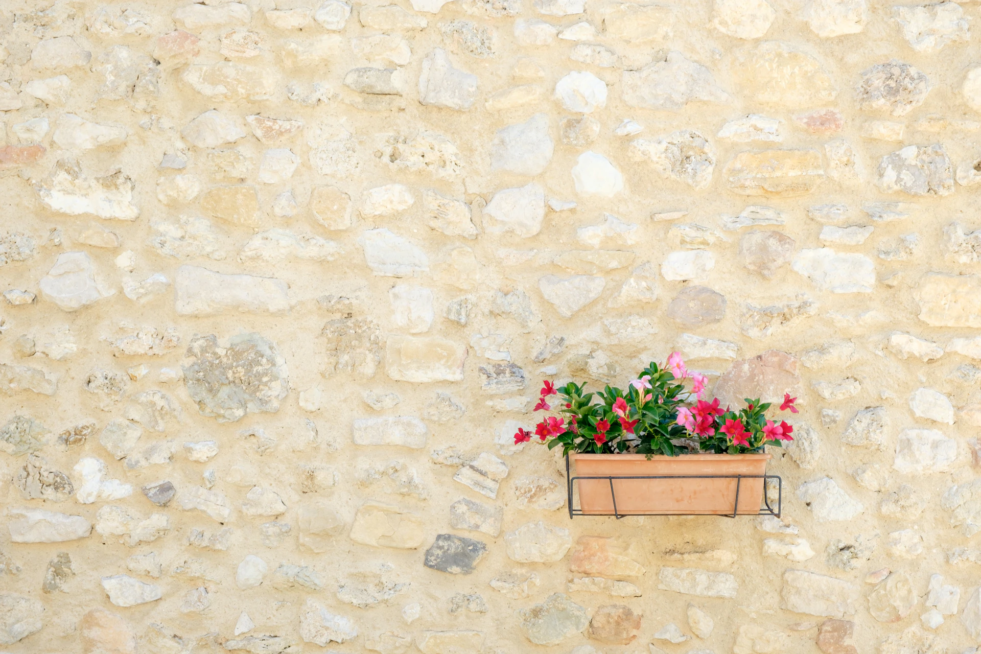 a planter filled with pink flowers on a stone wall