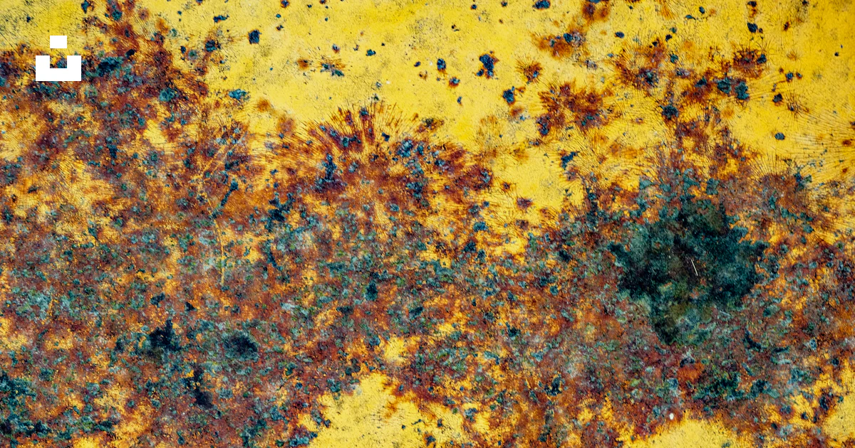 Rust Exposure A rusted metal surface with lots of rust on it photo – Free Corrosion ...