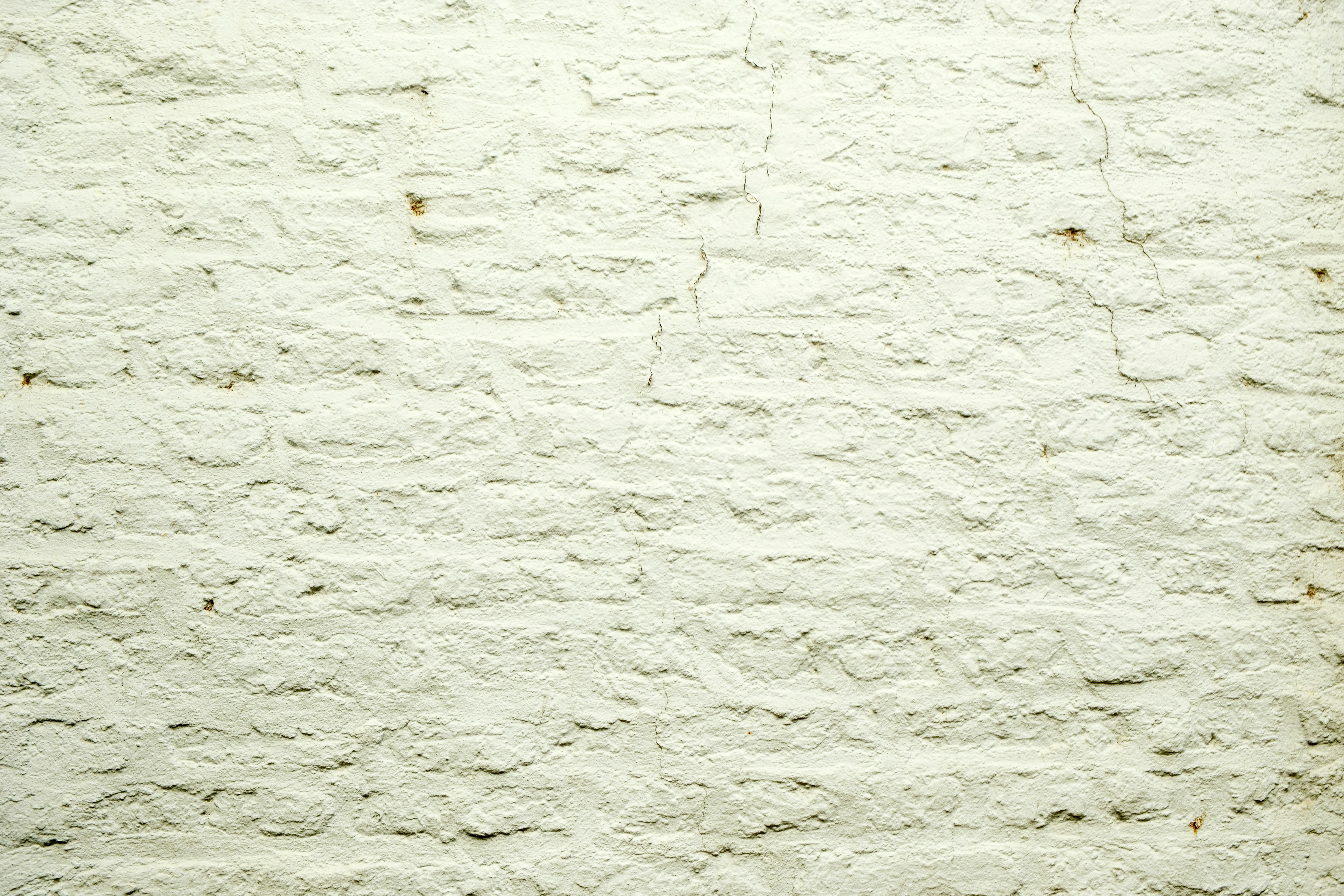 a black and white cat sitting on top of a white wall