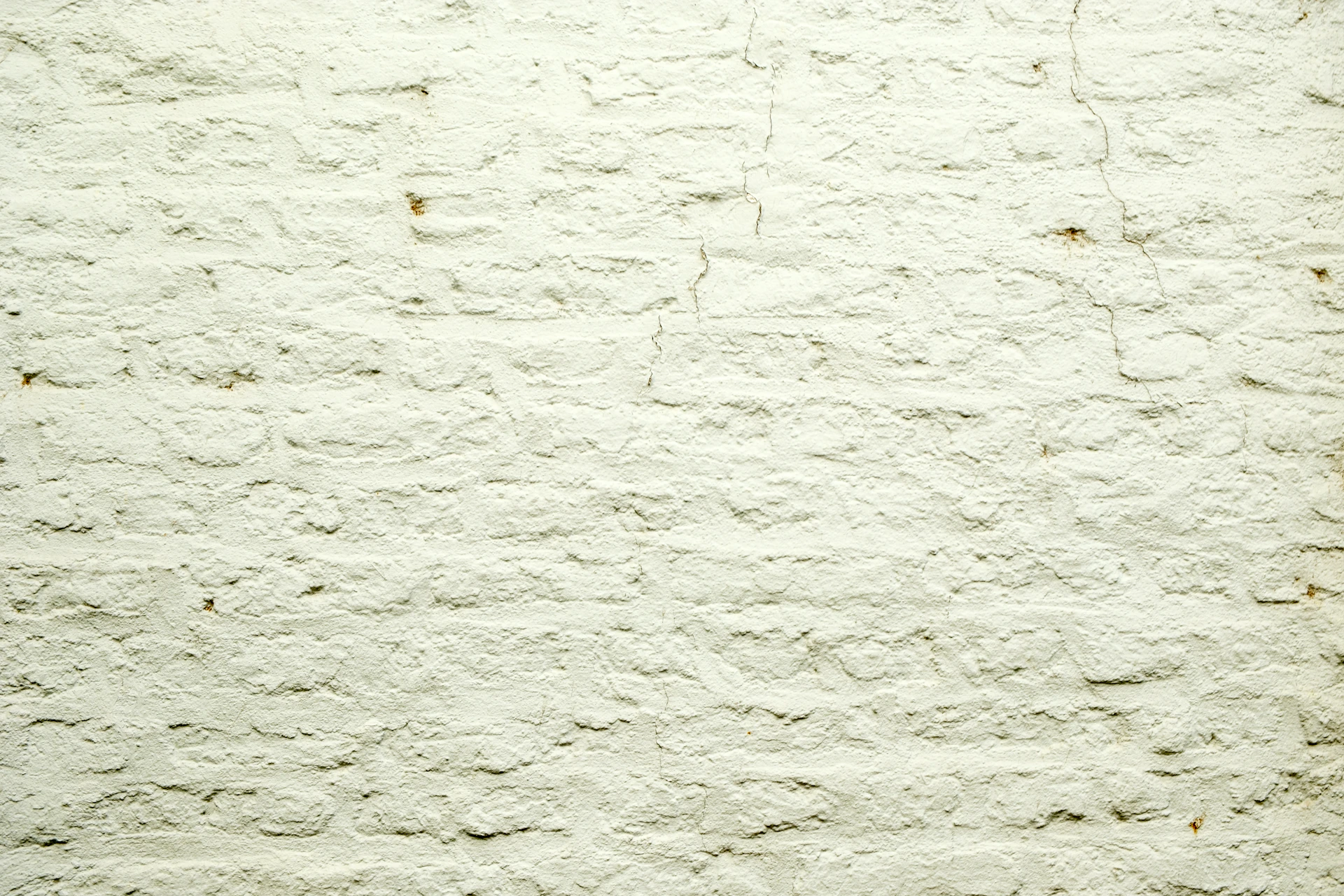 a black and white cat sitting on top of a white wall