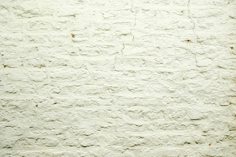 a black and white cat sitting on top of a white wall