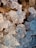 A close-up view of translucent, crystal-like structures alongside pale brown, elongated grains. The crystals have intricate facets that catch and reflect light, creating a sparkling effect. The grains underneath have a subtle texture, contrasting with the clear, icy appearance of the crystals.