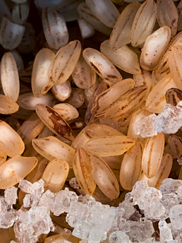 a close up of a pile of nuts and ice