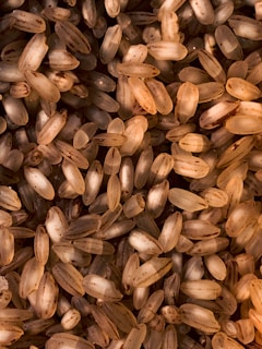 A close-up view of uncooked rice grains with a mixture of light brown and beige hues. The grains are of varying sizes and are scattered randomly.