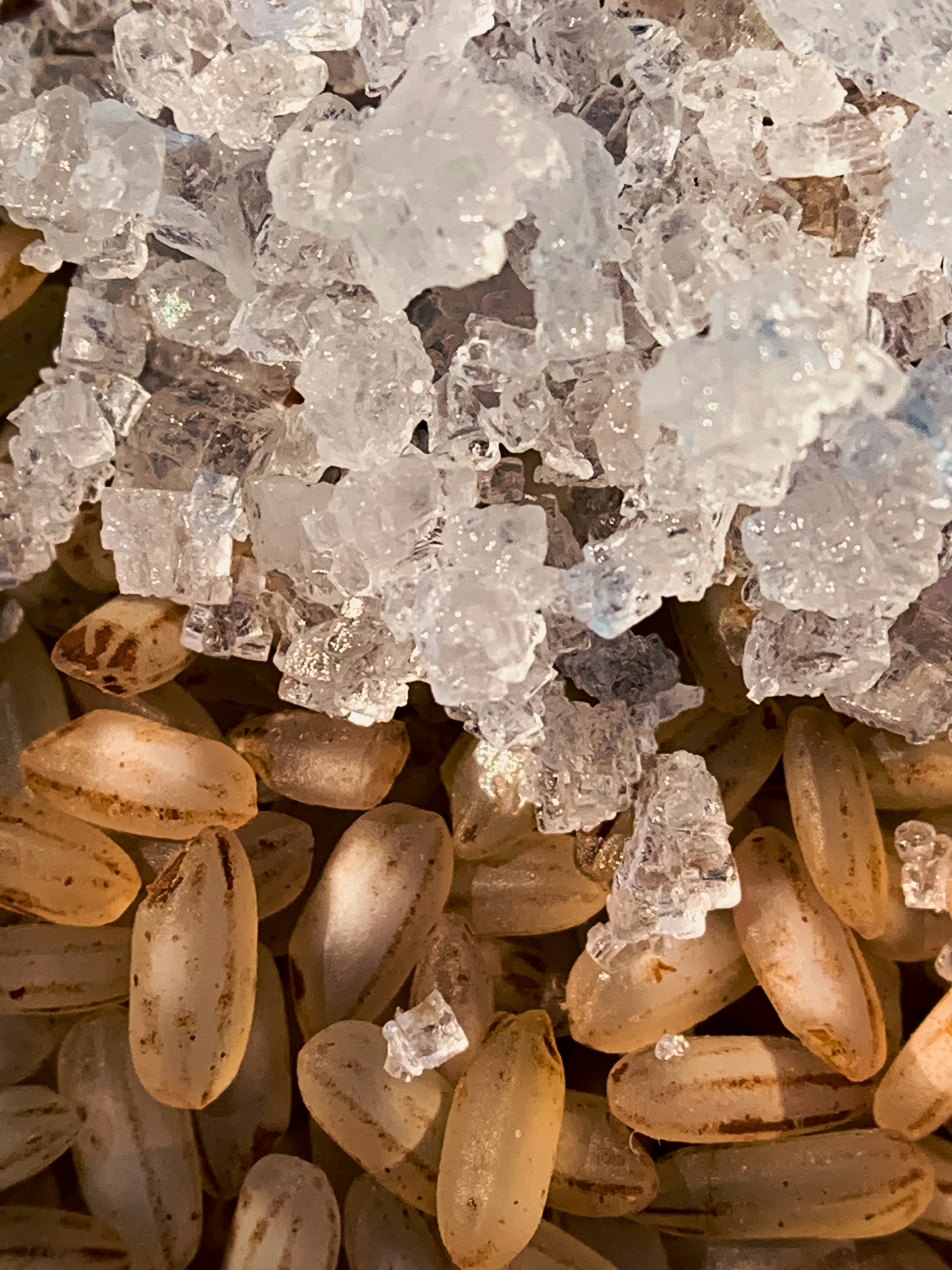 Happy Place Freeze-Dried Treats