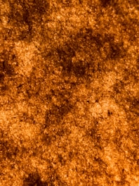 A close-up of a deep coffee-colored fabric texture, highlighting its rich and stable tone.