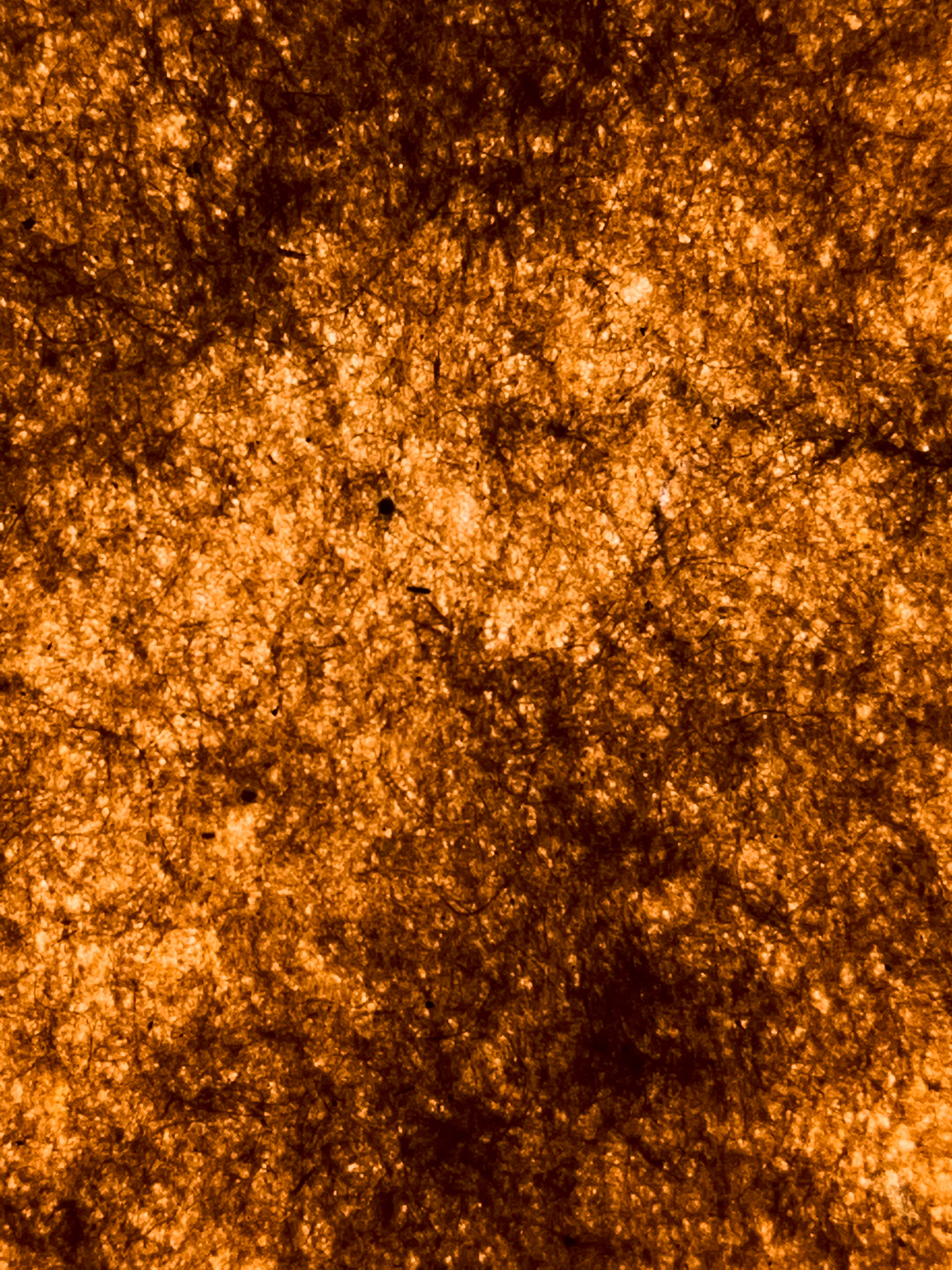 a close up view of a tree in the sky