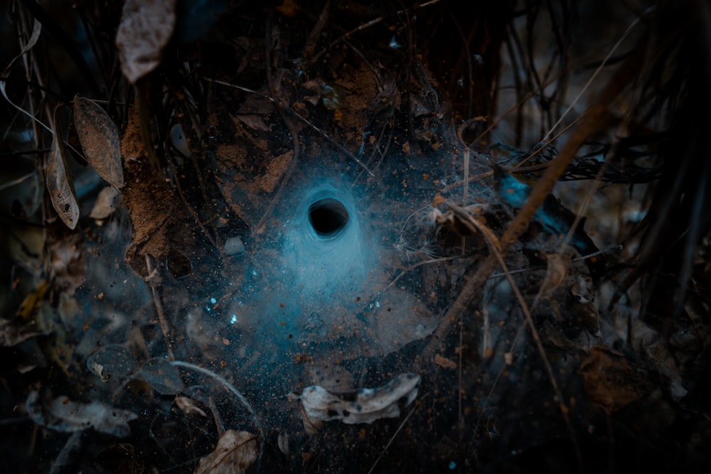 a black hole in the ground surrounded by leaves