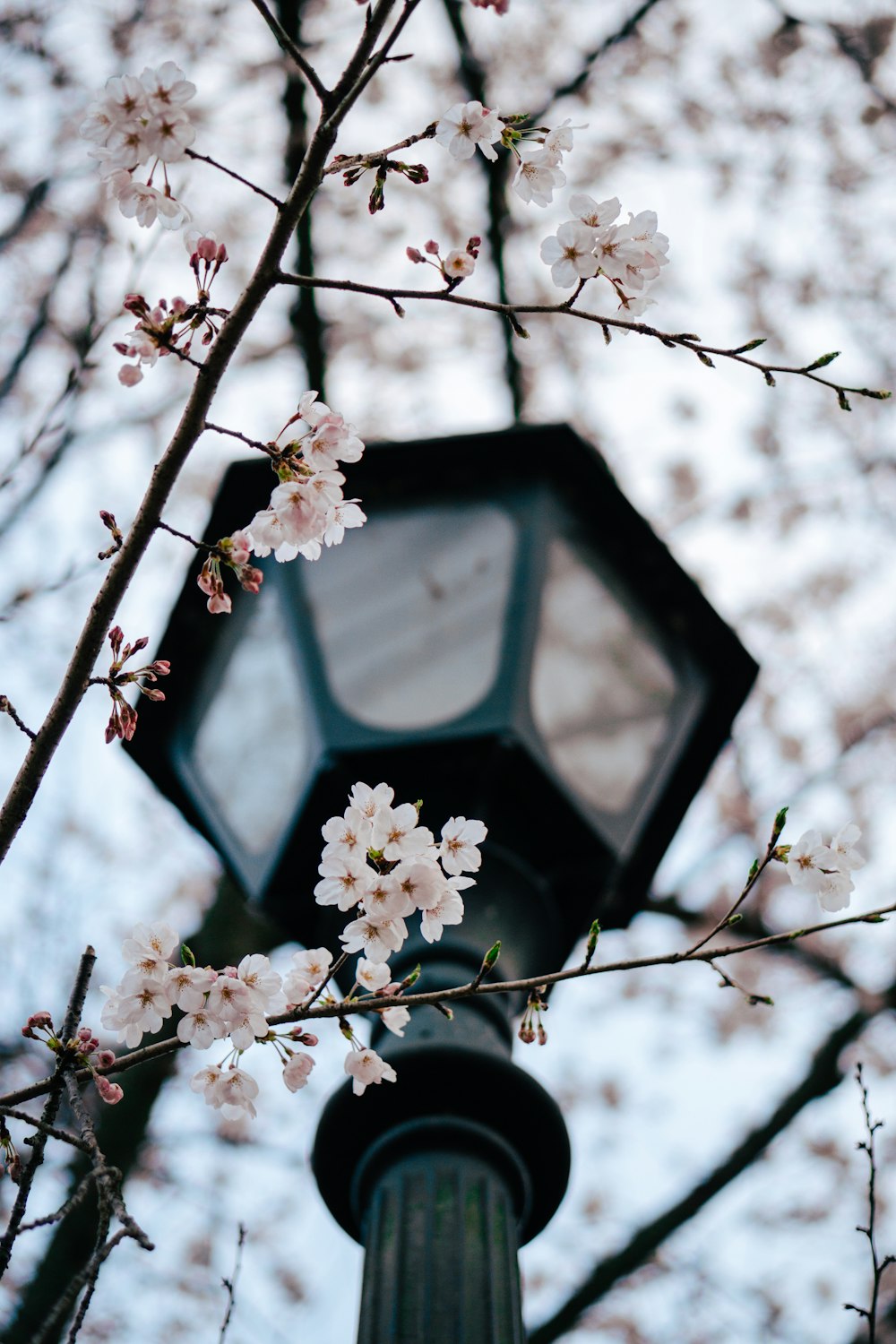 a lamp post with a light and flowers on it