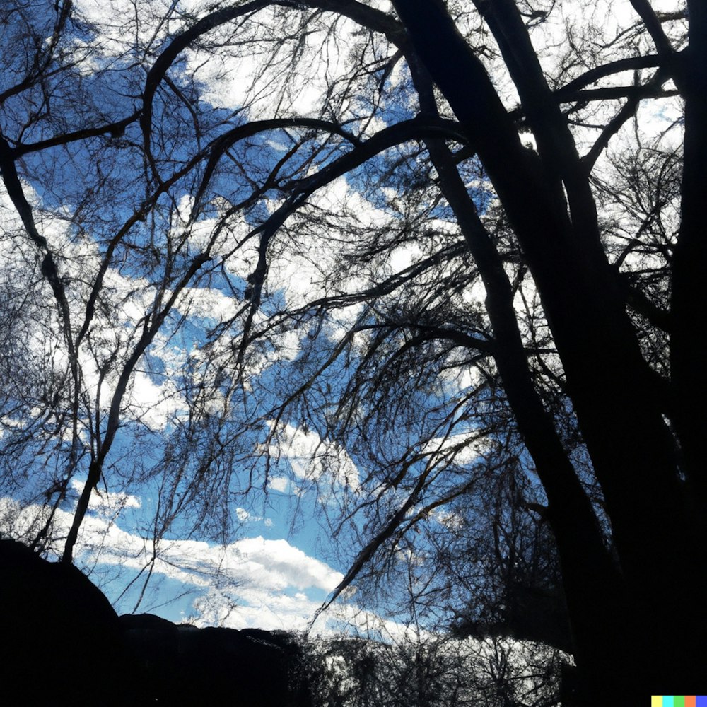 a view of the sky through some trees