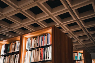 Elegant office interior with warm lighting and bookshelves filled with legal books representing a professional law firm.