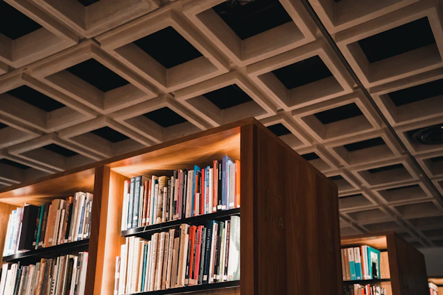 Elegant office interior with warm lighting and bookshelves filled with legal books representing a professional law firm.