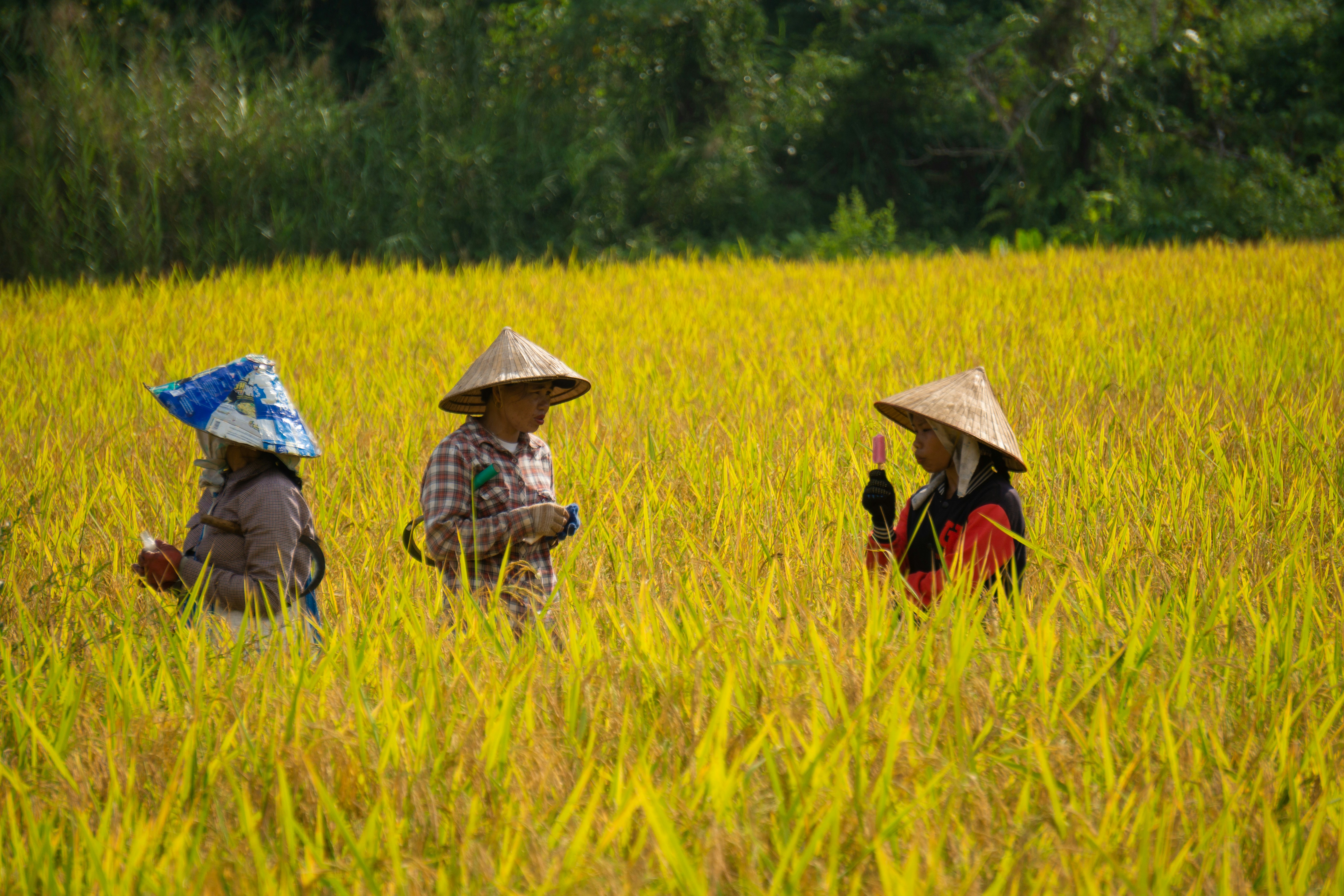 Photo by simonpallard