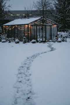 Frost-covered greenhouse glowing warmly at dawn in a snowy mountain valley.