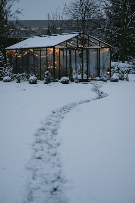 a path in the snow leading to a greenhouse