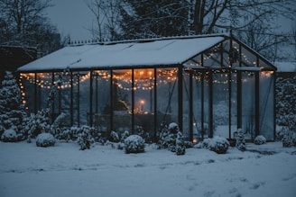 a house with a lot of lights on it in the snow