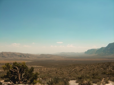 A vacant desert lot with clear skies and sparse vegetation.