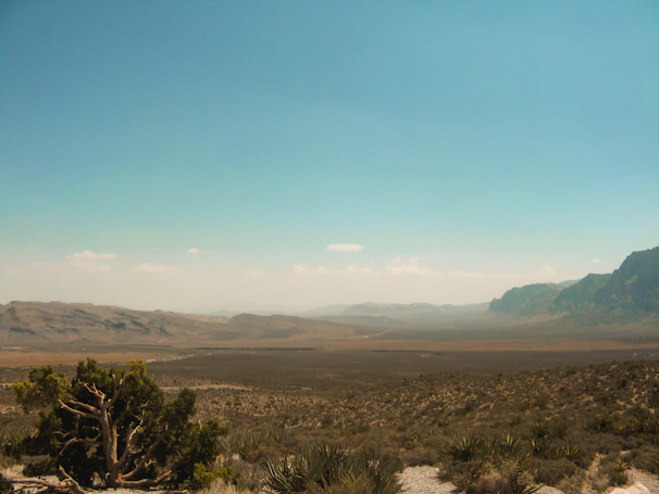 A wide shot of open desert land in Dateland, AZ under a bright blue sky.