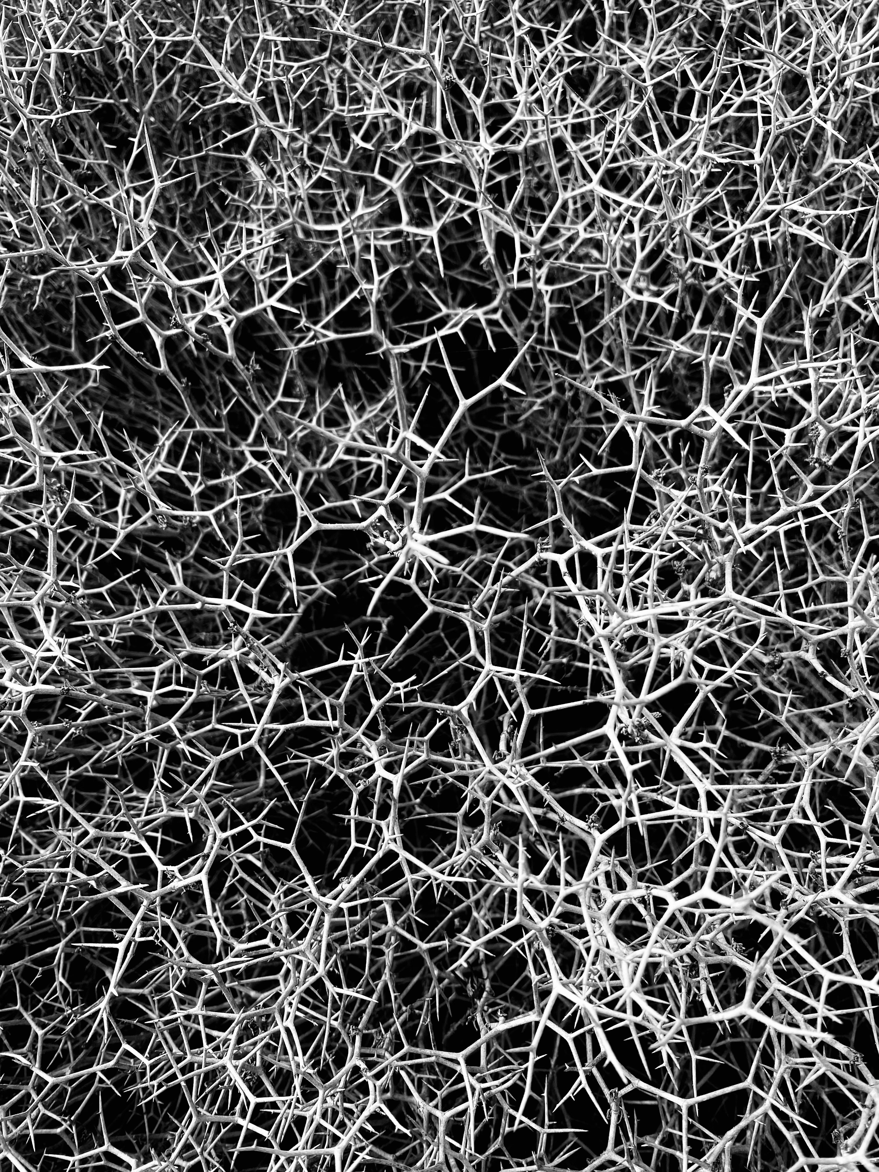 Photo by ana_milcher