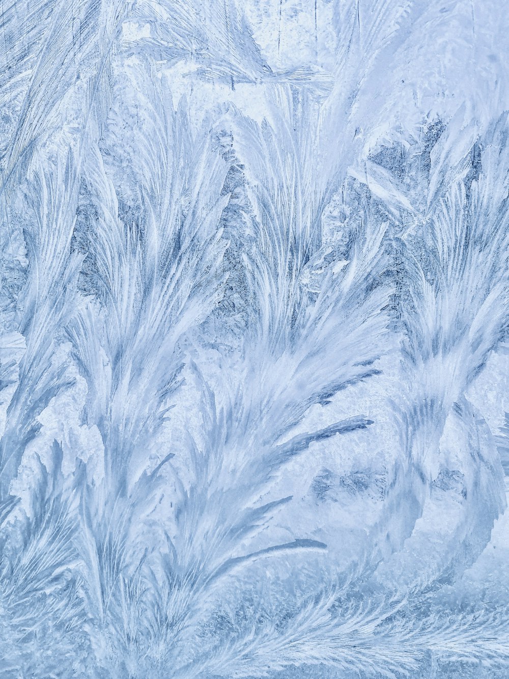 a close up of ice crystals on a window