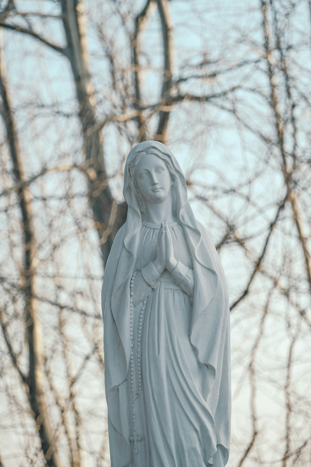 a statue of the virgin mary in front of a tree
