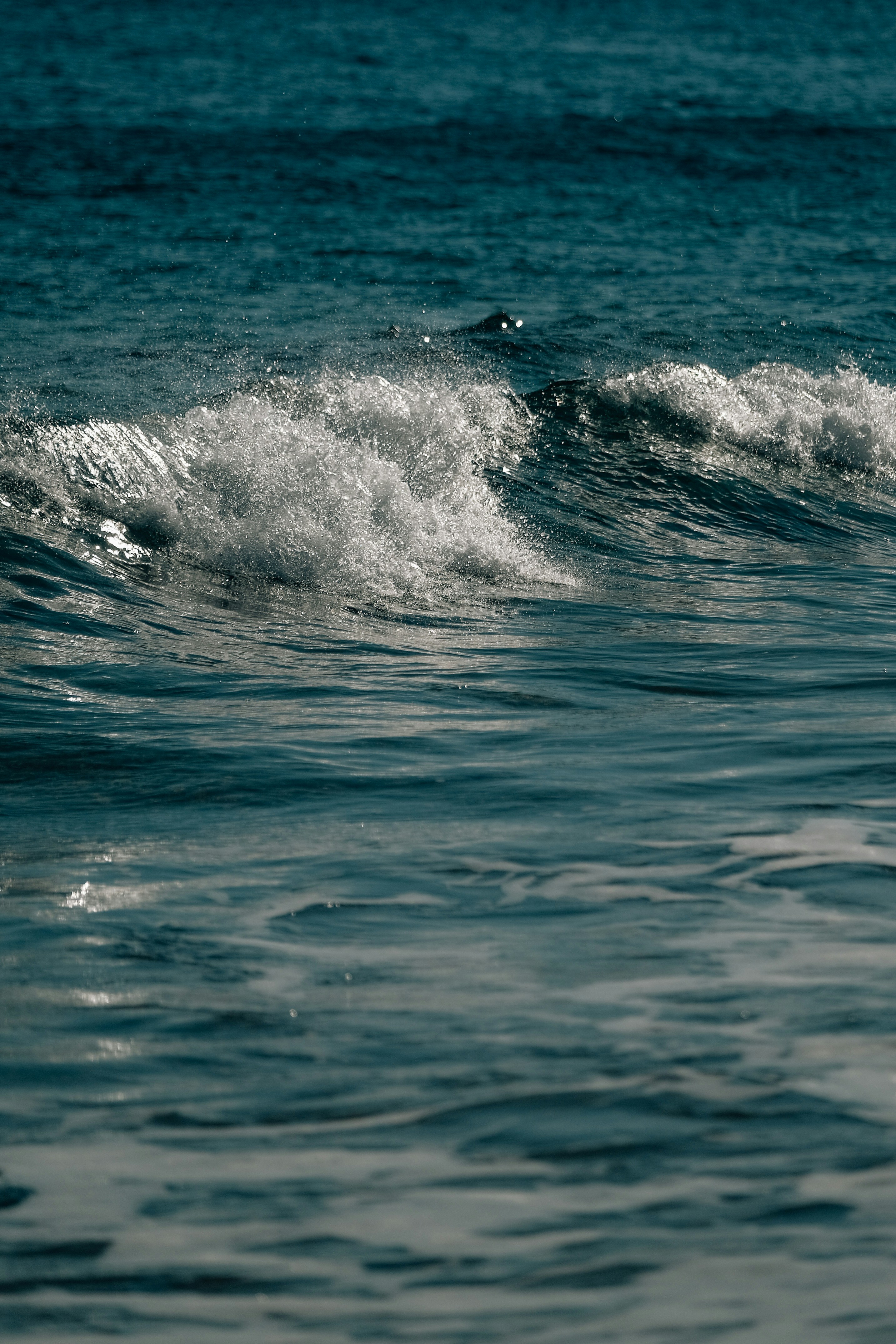 Photo by insungpandora