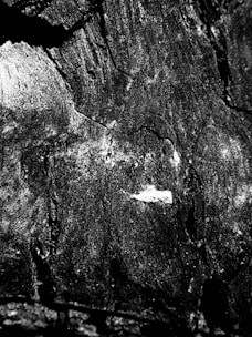A close-up view of a textured surface that appears to be wood or bark. The image is black and white, highlighting the intricate patterns and roughness of the material. A small area of lighter shading is visible, possibly due to uneven lighting or natural variations in the material.
