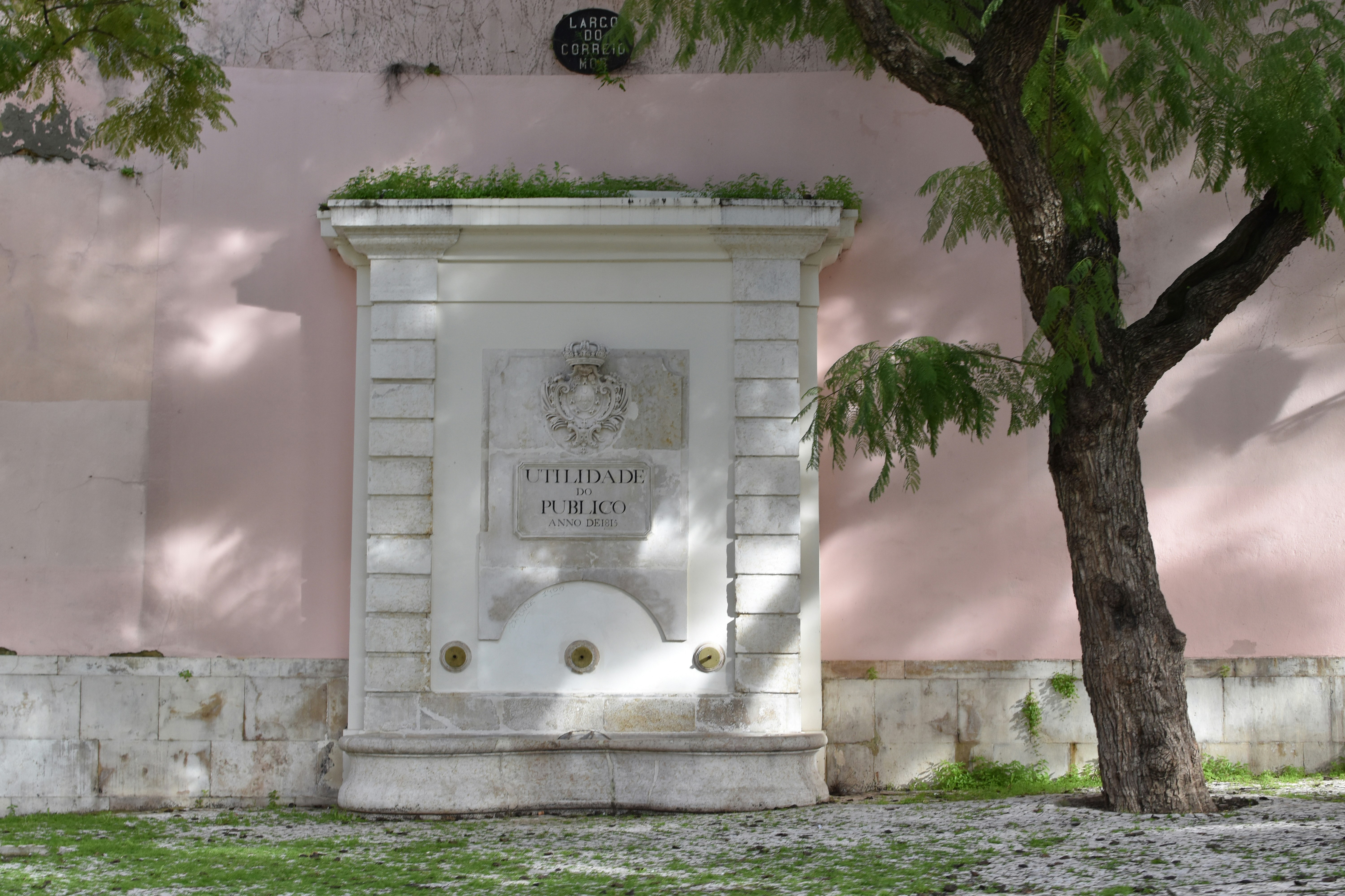 Photo by sisacreative