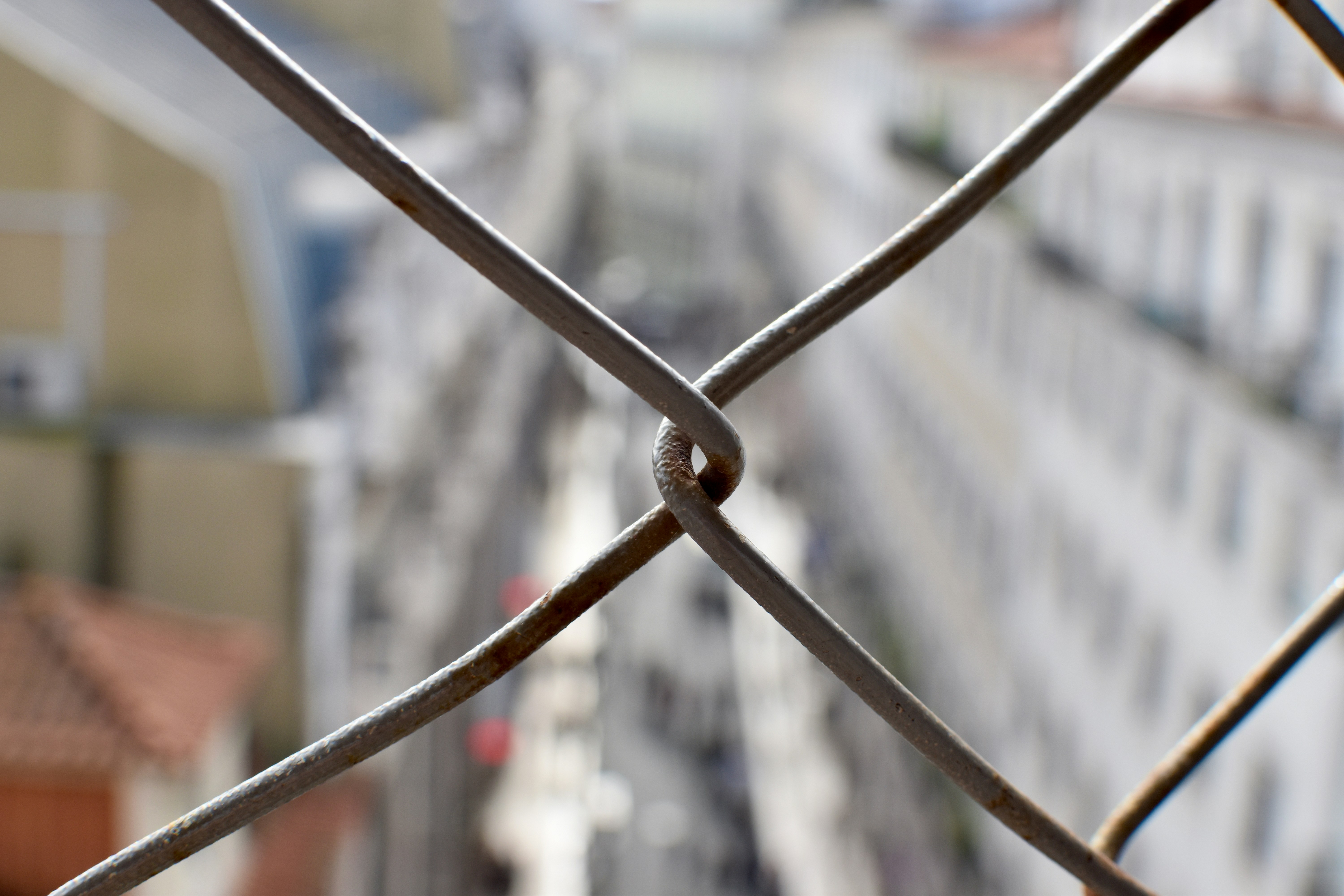 Photo by sisacreative