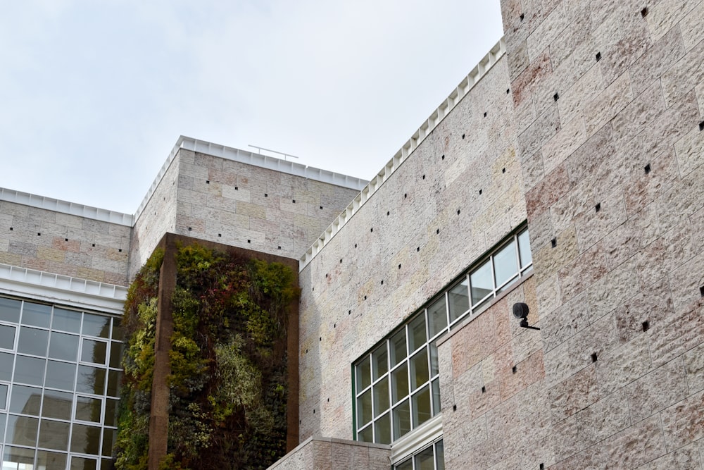 a brick building with a plant growing on the side of it