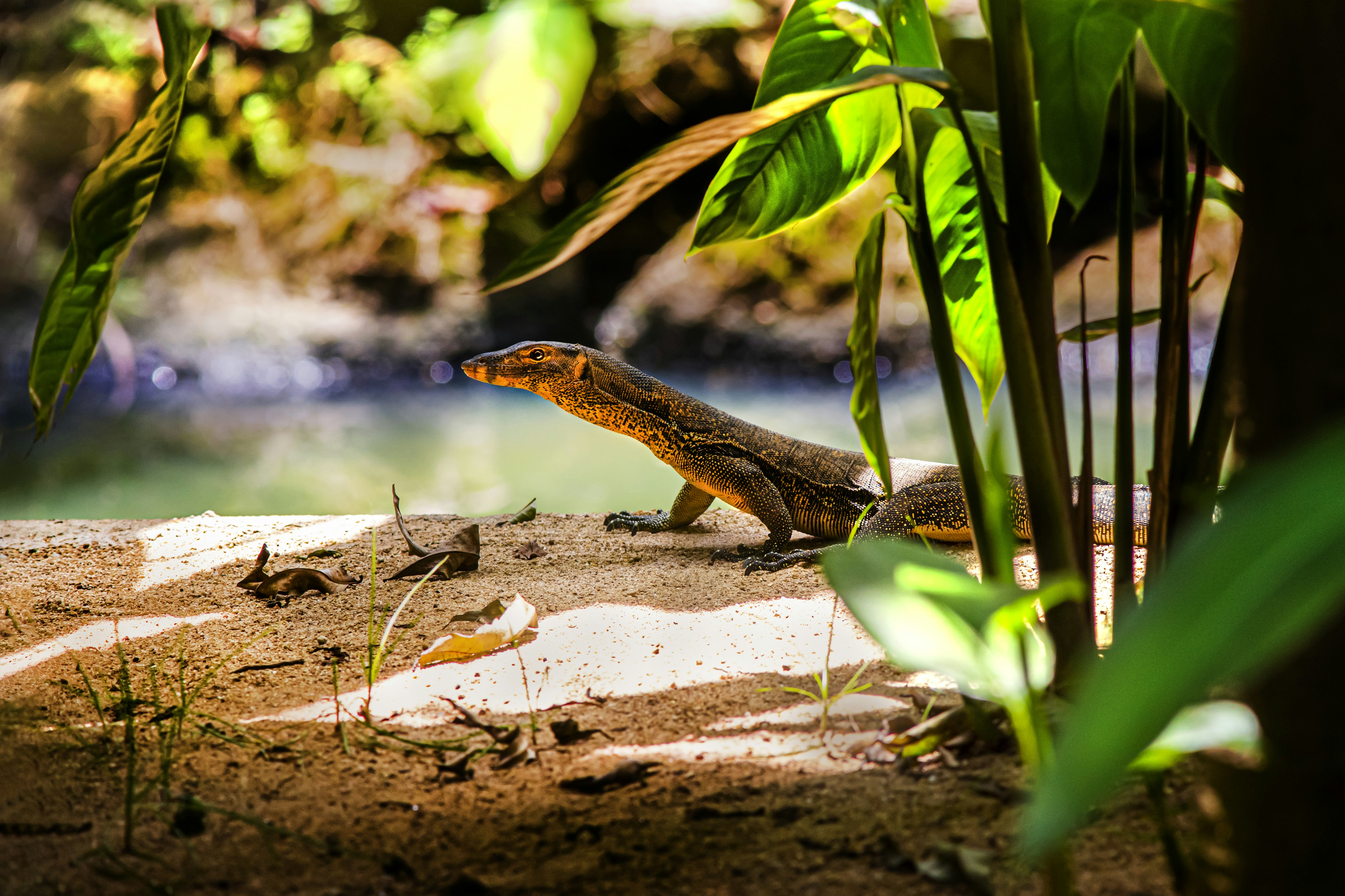 Photo by erik_karits