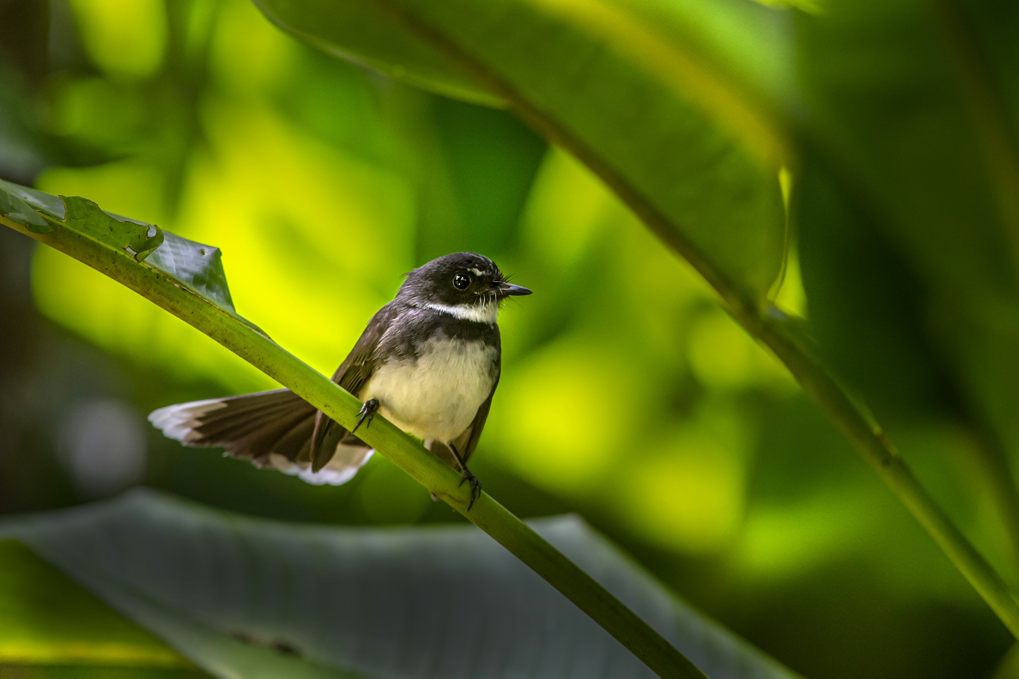 Best Times to Visit Khao Lak: Weather Guide