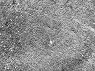 Abstract microscopic texture in grayscale, evoking data layers under scrutiny.