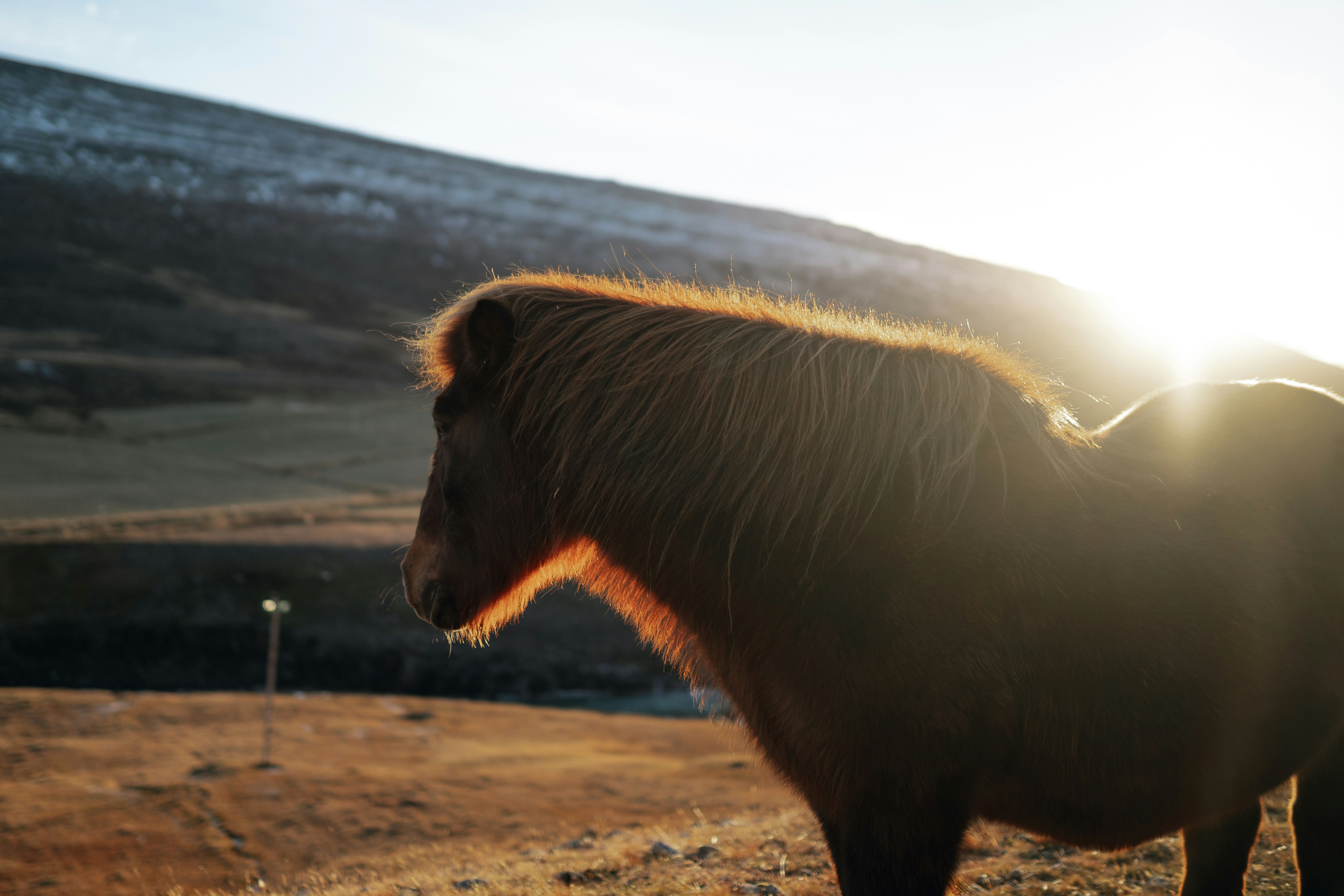 Photo by spensersembrat