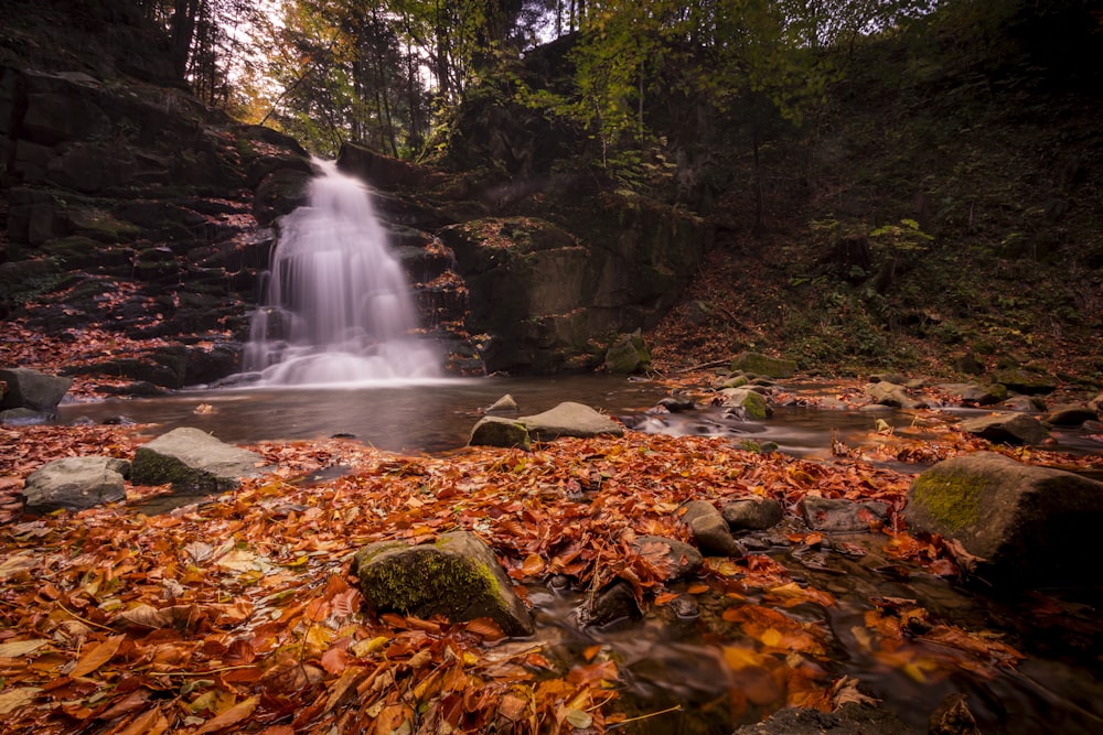 a waterfall in the middle of a forest filled with leaves