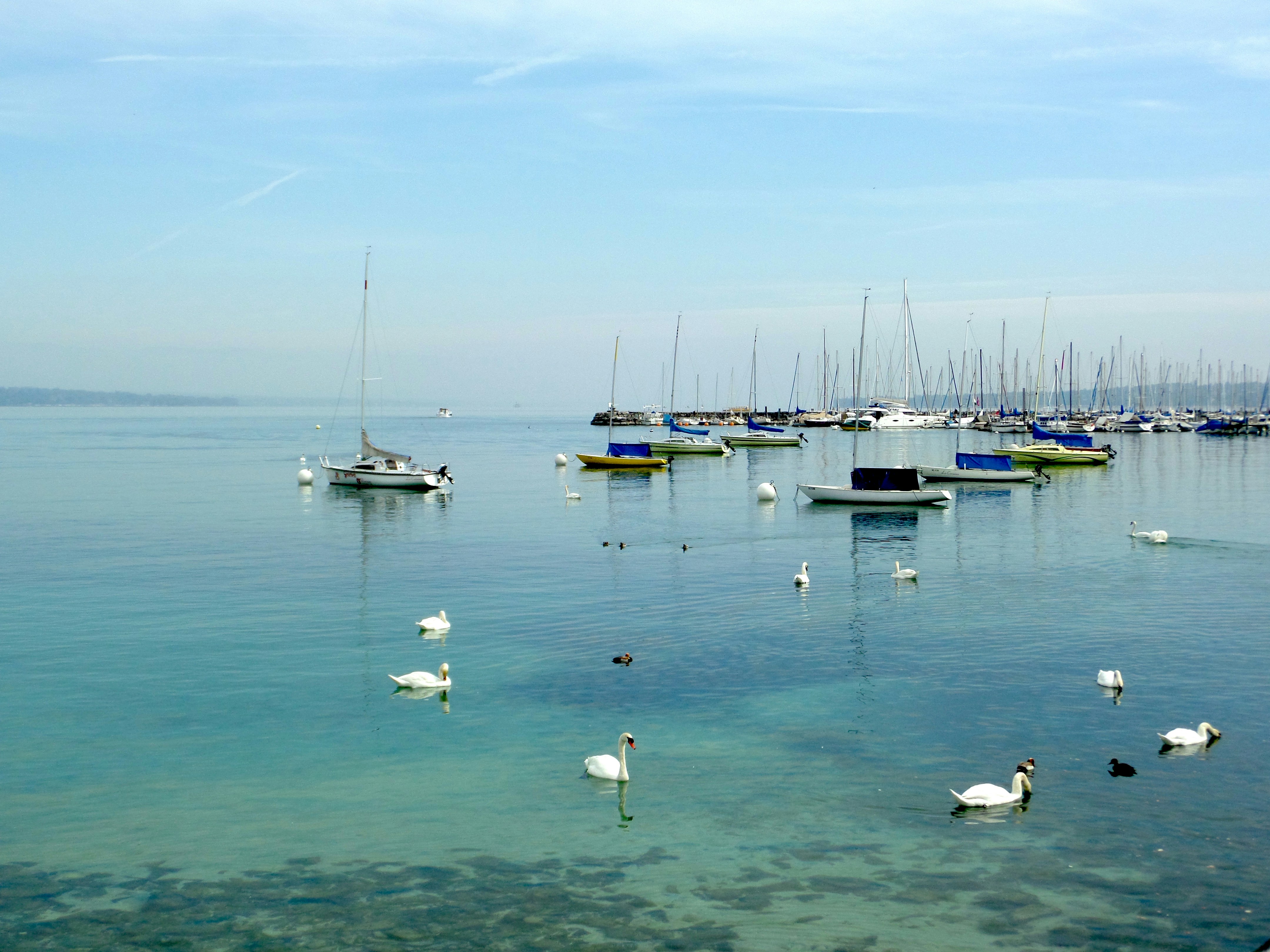 jet d´eau geneve