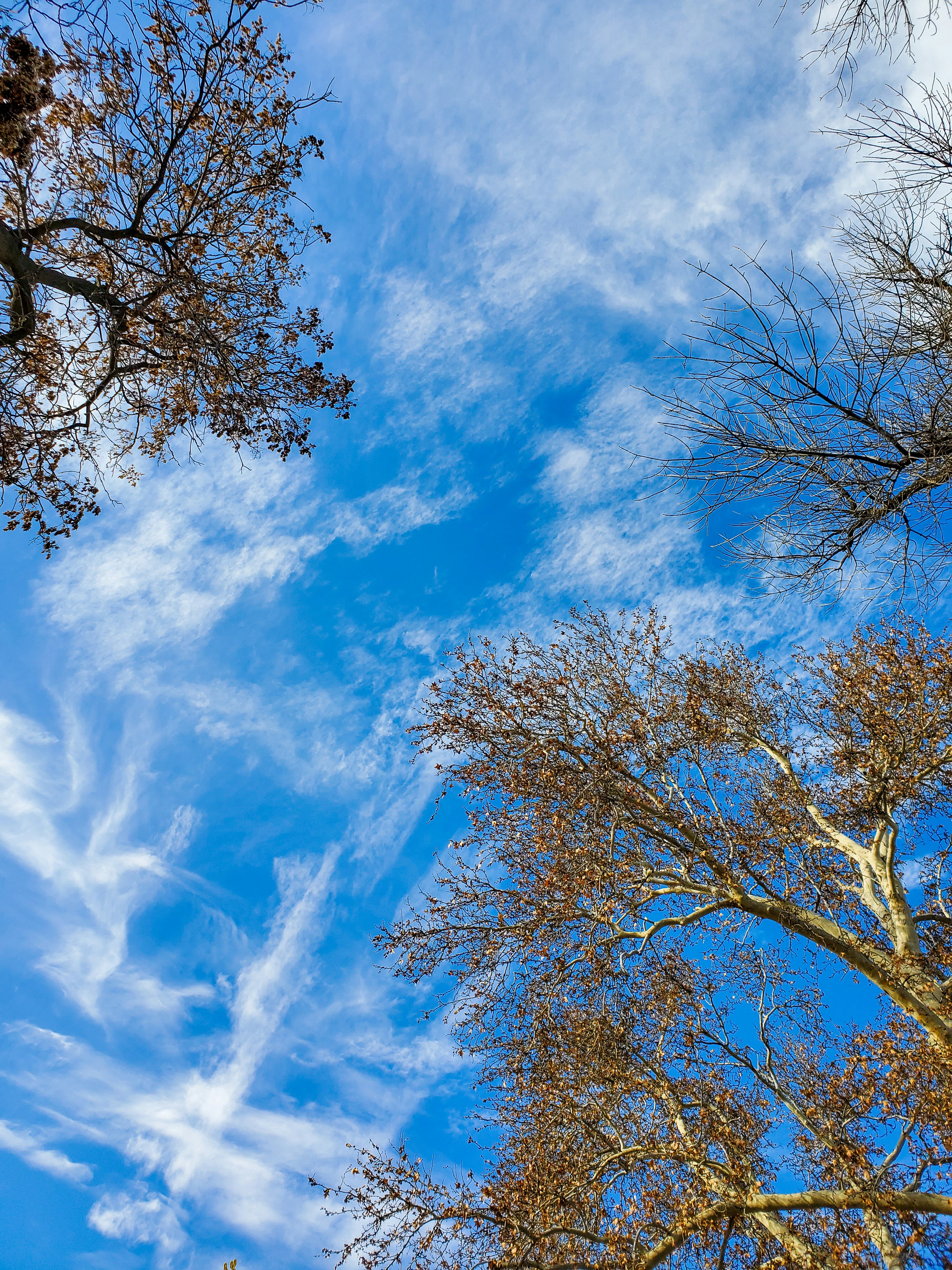 Photo by akinrainbow