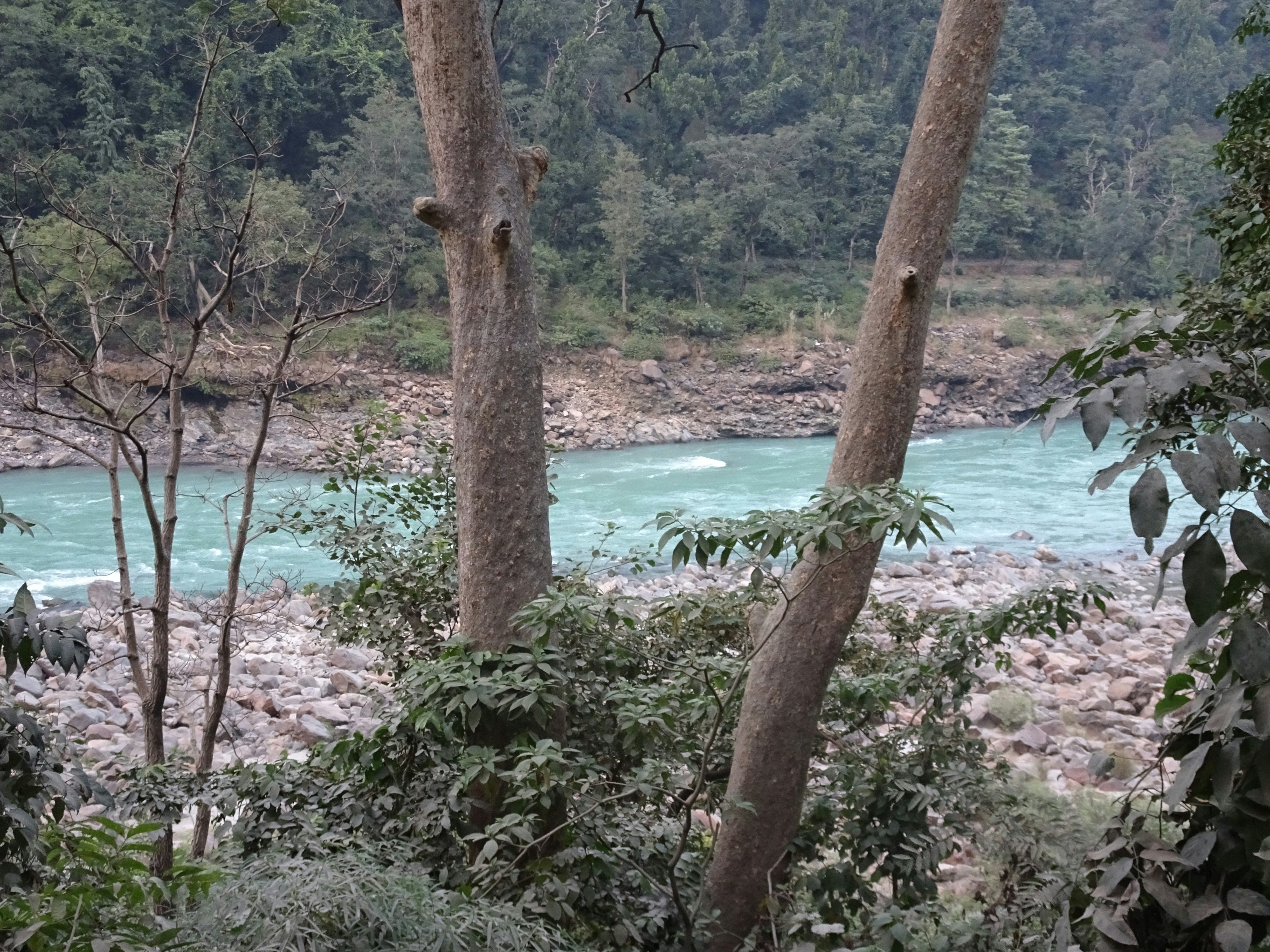 Photo by nishantchaudhary