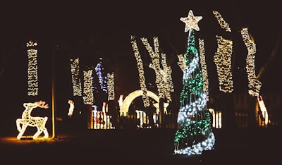 A nighttime scene displays festive holiday lights, including a glowing reindeer figure and a tall conical structure resembling a Christmas tree adorned with green and white lights, topped with a star. Trees in the background are wrapped in strings of yellow lights.