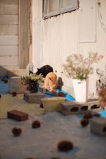 A group of volunteers caring for community cats in a sunny outdoor setting.