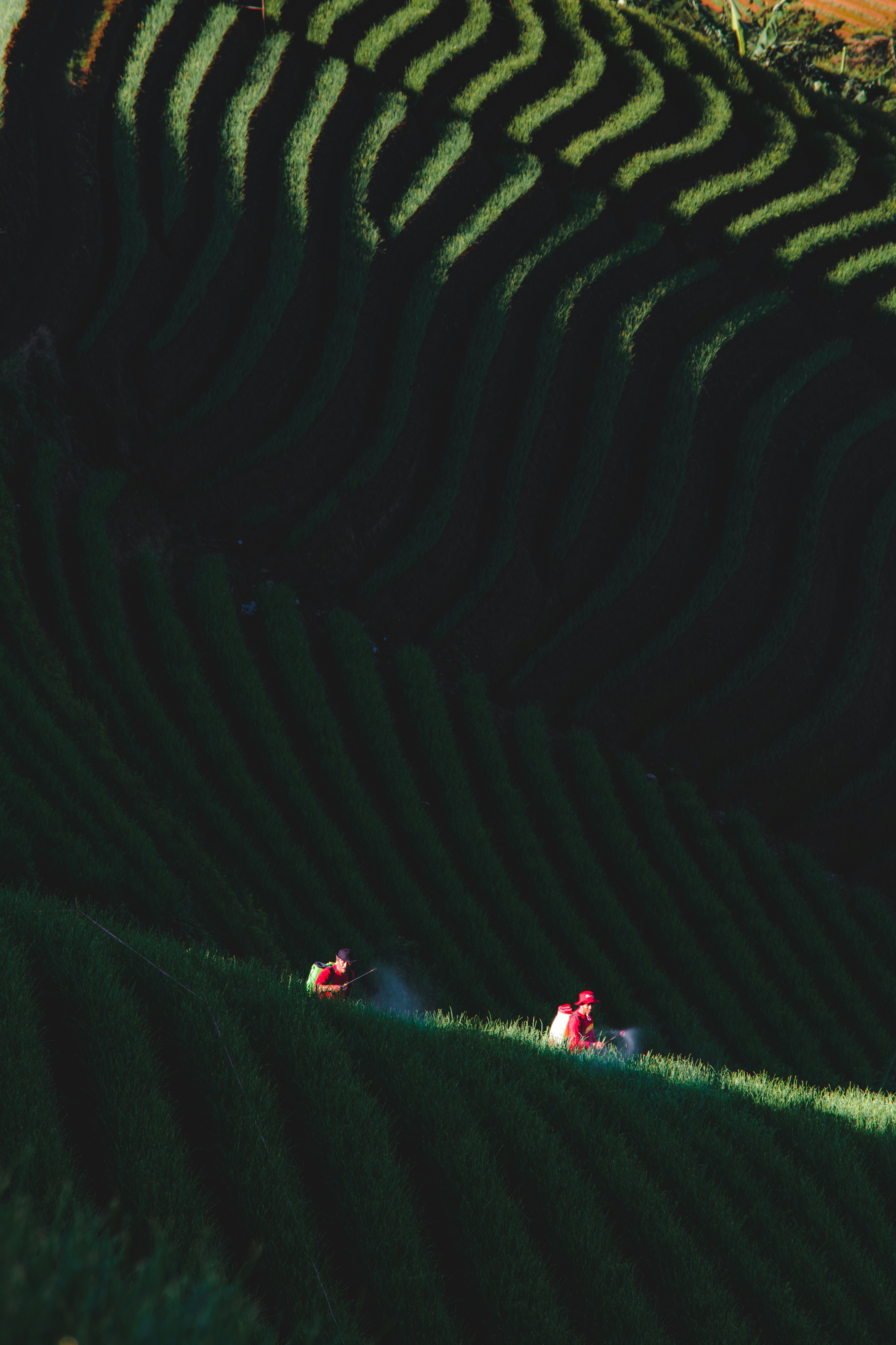 a couple of people riding down a lush green hillside